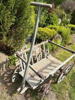 Starožitný žebřiňák - 3