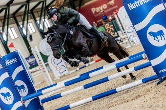 Top pony pro ambiciózní dítě - 3