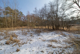 Prodej, trvalý travní porost, 349 m², Chotíkov - 3