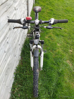 Pell's Razzer Team Replica 24 - 3