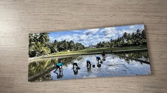Obraz 120x50cm - 3