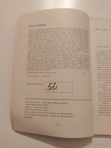 Valašské Meziříčí od minulosti k dnešku - Jaroslav Hýbl - 3