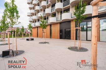 Pronájem, byty/4+kk, 118.49 m2, U Borského parku, Jižní Před - 3