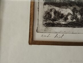 Prodám hezký obraz - 3