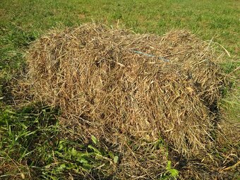 Prodám bio seno - 3