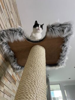 Škrabadlo pro kocky - 3