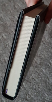 Zrádné mlhy (Katherine Arden) - 3