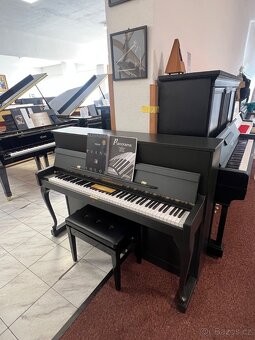 Schimmel se zárukou 2 roky, doprava zdarma, židle - 3