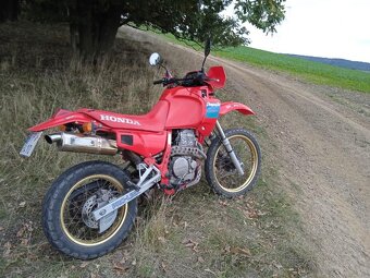 Honda NX 650 Dominator - 3