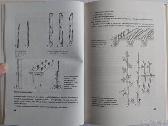 Ovocinárstvo - Oto Schuchman - 3