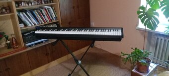 Roland FP - 10 - 3