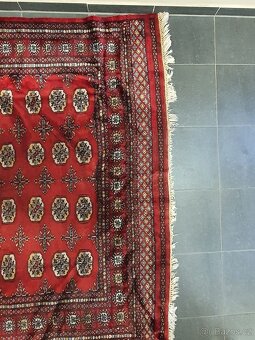 orientální koberec Buchara 270x170cm, peršan - 3