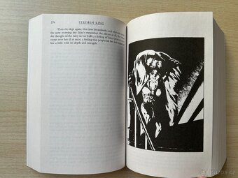 Stephen King - Stand (EN) NOVÁ - 3