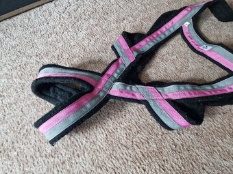 weight pull postroj - 3