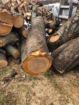 Prodej ovocného dřeva - 3