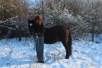 PONY VALACH - 3