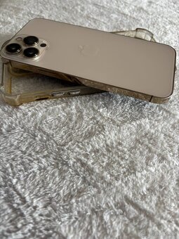 IPhone 13 pro max 1TB - 3