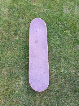 skateboard - 3