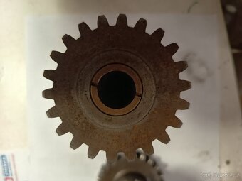 Indian Chief - 3