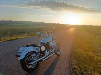 Harley Davidson FXDL Dyna Low Rider - 1999 - 3