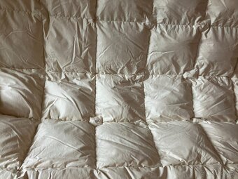 Peřina péřová krémová - 3