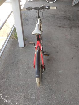 Author Junior Cross 15 - 3