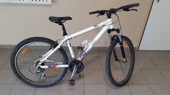 Kolo Scott M - 3