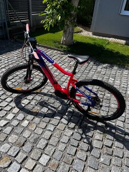 Crussis e-fiona 19” - 3