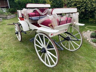 KOČÁRY, BRYČKY ZA KONĚ - 3