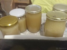 Domácí med přímo od včelaře z Vysočiny - 3