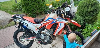 Honda CRF Rally 250 - 3