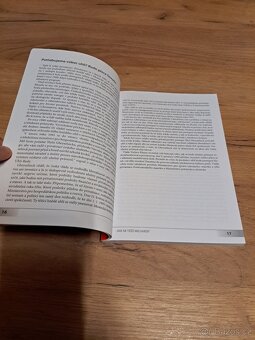 Jak se těží miliardy? - Luboš Xaver Veselý - 3