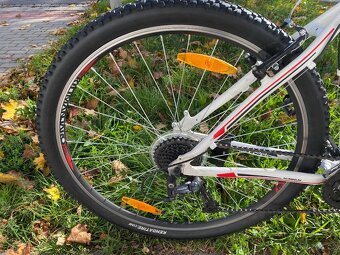 29" horské kolo Kilimanjaro alu rám L 19" - 3