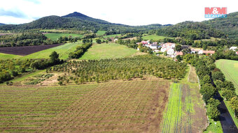Prodej ovocného sadu, 40027 m², Chotiměř - 3