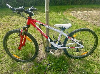 Kolo Author Junior 24 - přehazovačka Shimano - servisováno - 3
