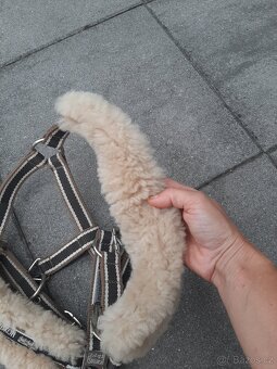 Pony Eskadron ohlavka - 3