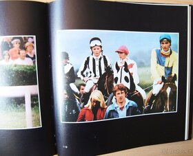 Koně formule 1/1 - 3