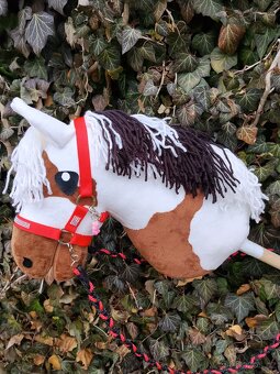 Hobby horse - 3