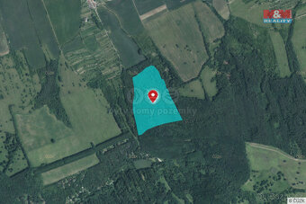 Prodej lesa, 845297 m², Kněždub - 3