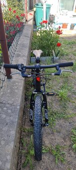 Superior Racex XC 20 - 3