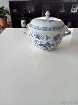 Sada cibulák Thun. - 3