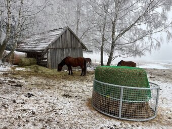 Nabízíme ustájení - 3