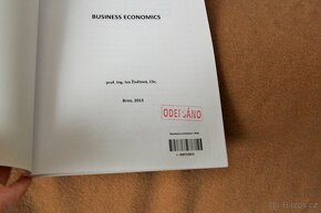 Iva Živělová - Business economics - 3
