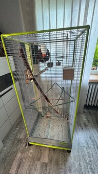 Vakoveverky - 3