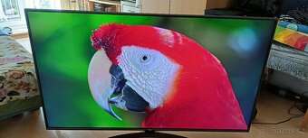 Televize LG Led Smart 4K 139 cm 55 palcu - 3