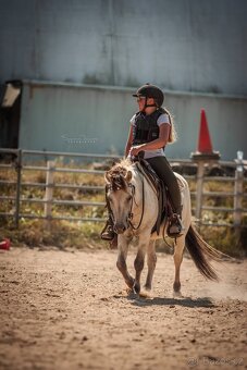 Pony 128 cm - 3