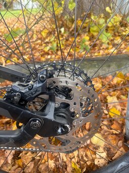 CANYON TORQUE 2021 - 3