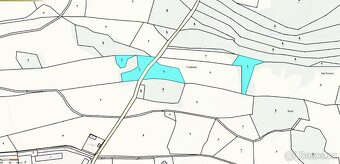 Prodám lesní pozemky v k.ú. Podměstí - 3