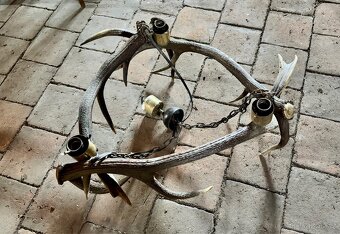 Lustr, Lampa z jeleního paroží 3-ramenná. - 3