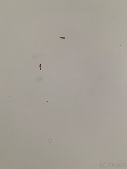 Psací polohovací stůl IKEA- dobrý stav, spěchá - 3